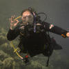 Picture taken during the dive