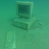 Picture taken during the dive