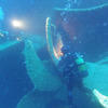 Picture taken during the dive