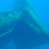 Picture taken during the dive