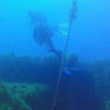 Picture taken during the dive