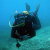 Picture taken during the dive