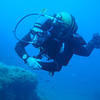 Picture taken during the dive