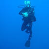Picture taken during the dive