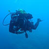 Picture taken during the dive