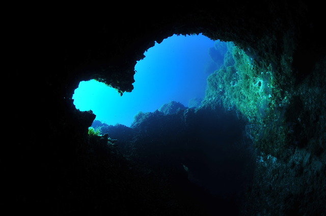 Arenal C.D.B. SL - Dive Center in Spain