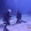 Picture taken during the dive