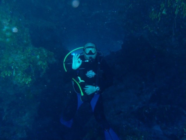 Cape Eleuthera Divers - Dive Center in Bahamas