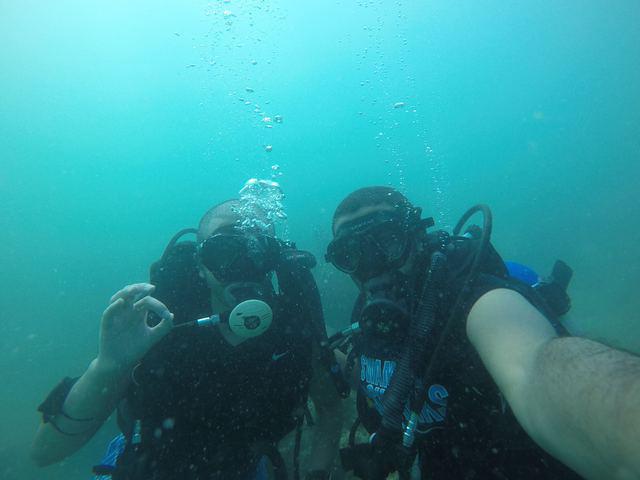 Apple Dive Center - Dive Center
