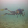 Picture taken during the dive