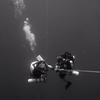 Picture taken during the dive