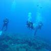 Picture taken during the dive