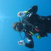 Picture taken during the dive