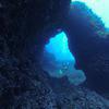 Picture taken during the dive
