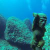 Picture taken during the dive