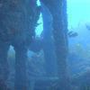 Picture taken during the dive