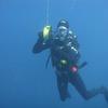 Picture taken during the dive
