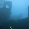 Picture taken during the dive
