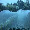 Picture taken during the dive