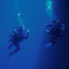 Picture taken during the dive
