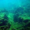 Picture taken during the dive