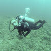 Picture taken during the dive