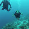 Picture taken during the dive