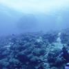 Picture taken during the dive