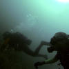 Picture taken during the dive