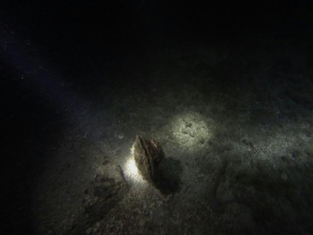 Aquaholics Dive Center - Dive Center in Greece