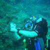 Picture taken during the dive
