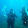 Picture taken during the dive