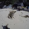 Picture taken during the dive