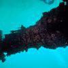 Picture taken during the dive