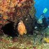 Picture taken during the dive