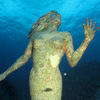Picture taken during the dive