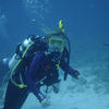 Picture taken during the dive