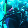 Picture taken during the dive
