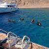 Picture taken during the dive