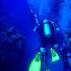 Picture taken during the dive