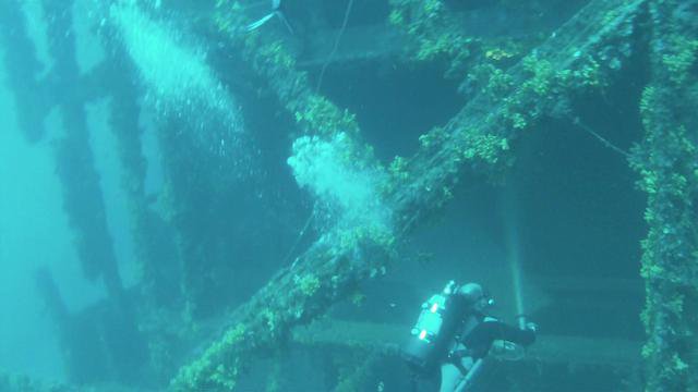 Diving Pelion - Dive Center in Greece