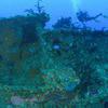 Picture taken during the dive