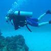 Picture taken during the dive