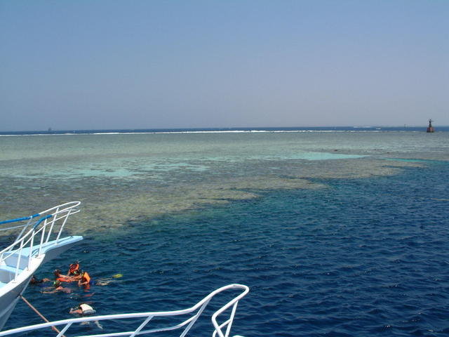 Camel Dive Club - Dive Center in Egypt