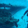 Picture taken during the dive