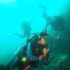 Picture taken during the dive