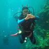 Picture taken during the dive