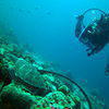Picture taken during the dive