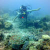 Picture taken during the dive