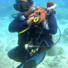Picture taken during the dive